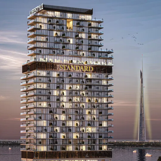 Project Gallery Image